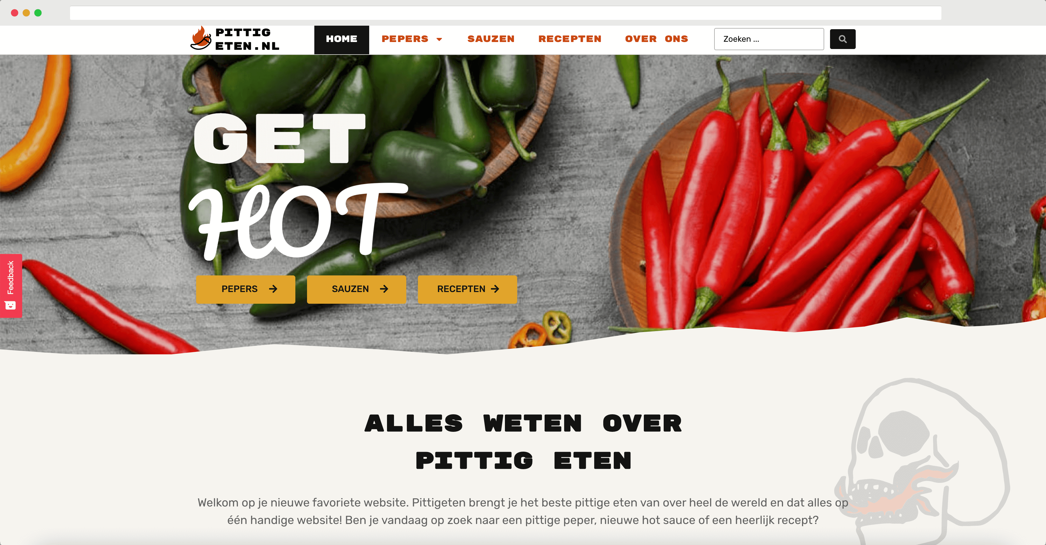 Pittigeten.nl voorbeeld van de homepagina